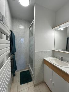 杜埃拉丰坦APT Iere ETAGE PARKING PRIVE AVEC GARAGE MOTO VELO的带水槽和淋浴的浴室