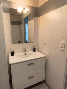 een badkamer met een wastafel en een spiegel bij T2 avec terrasse & garage privé, Proche Jaude in Chamalières