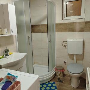 a bathroom with a shower and a toilet and a sink at Apartman5 in Gornja Toplica