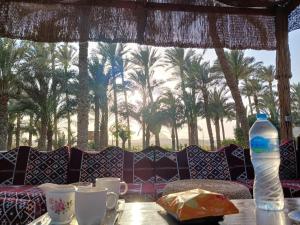 Φωτογραφία από το άλμπουμ του ريف واحه دهشور σε Al Qal‘ah +8 φωτογραφίες