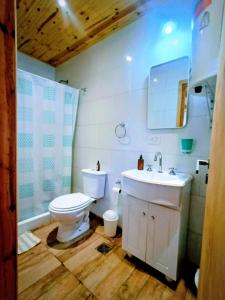 een badkamer met een toilet, een wastafel en een spiegel bij La casita de Bonsai in Chapadmalal