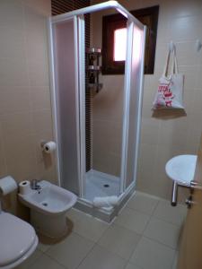 a bathroom with a shower and a toilet and a sink at Rental in the center of Granada 1B in Granada