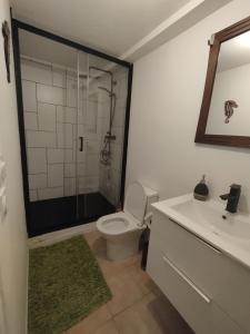 a bathroom with a toilet and a shower and a sink at Appartement Saint Sulpice la Pointe in Saint-Sulpice
