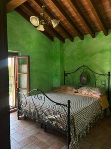 a bedroom with a bed in a green wall at Agriturismo Varana in Zibello +9 photos