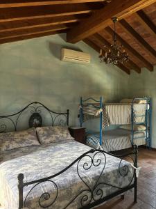 a bedroom with a bed and a chandelier at Agriturismo Varana in Zibello
