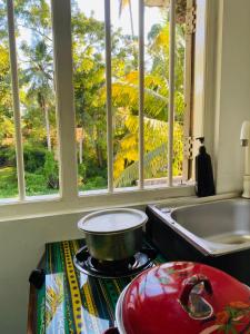 Zahrada ubytování Serene Lumina Mirissa