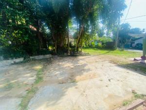 a dirt road with a tree in the background at Ceylon Grand Airport Tourist Accommodation in Katunayake