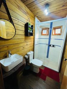 a bathroom with a toilet and a sink and a shower at Cabana Betari - Petar in Iporanga +10 photos