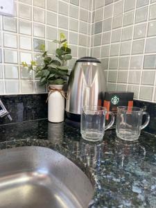 a kitchen counter with two glasses and a tea kettle at Ape 202 perto da UFV in Viçosa +10 photos