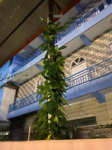 Φωτογραφία από το άλμπουμ του Nonion Apartmnt σε Pokhara