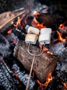 Gril dostupný pro hosty v prázdninového domu