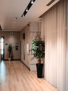 a hallway with white curtains and a potted plant at Toer Hotel & SPA in Sarandë +88 photos