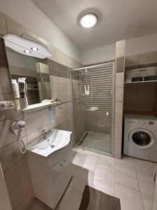 a bathroom with a sink and a washing machine at HIGHWAY Apartman in Győr