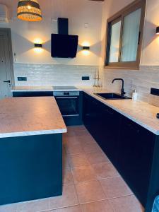アモウディにあるSteno Villa Amoudiの青いキャビネットとシンク付きの広いキッチン +15枚の写真