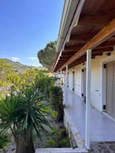 アモウディにあるSteno Villa Amoudiのヤシの木が植えられた家のポーチ