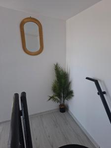 ザルネシュティにあるCasuța Râuluiの鏡付き鉢植え