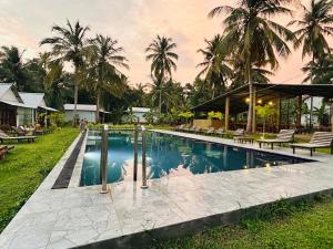 达瓦拉维Paramount Safari Cottage的棕榈树环绕的房子前的游泳池