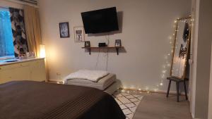 索特卡莫Arctic Landhaus的一间卧室配有一张床、一台电视和灯光