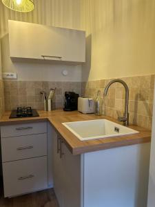 Kuchyň nebo kuchyňský kout v ubytování Appartement avec terrasse, vue panoramique