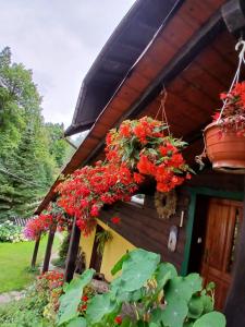 a house with red flowers on the side of it at U TKOCZA Agroturystyka in Wisła
