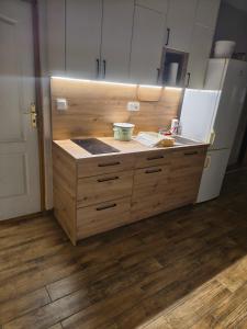 a kitchen with a sink and a refrigerator at U TKOCZA Agroturystyka in Wisła