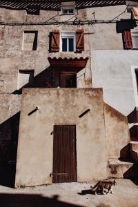 a dog laying on the ground in front of a building at Luna Rossa in Piana