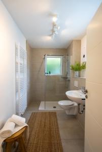 une salle de bains avec douche, toilettes et lavabo dans l'établissement DDHomes LahnLiebe App 01 - Balkon,Therme,SmartTV, à Bad Ems