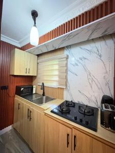 Kuchyň nebo kuchyňský kout v ubytování Green House + 4 fotografie