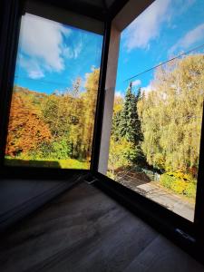 Vista general de una montaña o vista desde el lodge 