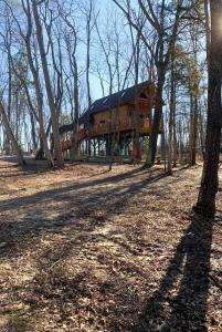 a large wooden house in the middle of a forest at Magical Tree House Experience with a Private Hot Tub in Shenandoah Valley, Virginia in Grove Hill