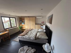 a bedroom with a bed and a desk in it at M-Suites Petit - Near Frankfurt Airport in Hattersheim +19 photos