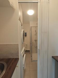 a small kitchen with a sink and a shower at Studio lumineux jardin privatif Paris & Disney in Noisy-le-Grand
