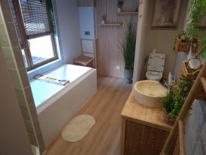 ein Badezimmer mit Badewanne und Toilette in der Unterkunft Thermo'Spa - Gîte Spa Privatif in Calais