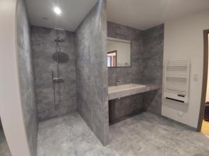 a bathroom with a shower and a sink at Gîte Pink House in Rainville +31 photos