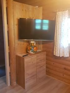 a wall with a large television in a room at Ferienhaus Haigrub in Perasdorf