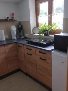 a kitchen with wooden cabinets and a counter top at Ferienhaus Haigrub in Perasdorf
