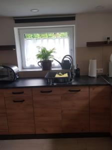 a kitchen with a sink and a window with a plant at Ferienhaus Haigrub in Perasdorf