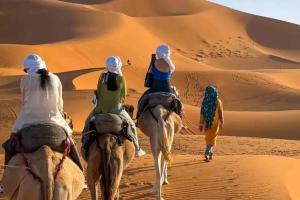 a group of people riding camels in the desert at Merzouga Best Luxury Camp in Merzouga +39 photos