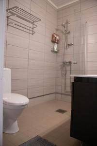 un bagno con doccia e WC di Willa Wanha Apteekki a Seinäjoki Altre 9 foto