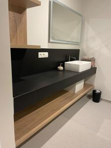 a bathroom with a sink and a mirror at De Kempische Hoef in Westerlo