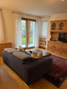 TV a/nebo společenská místnost v ubytování Ladin Apartment