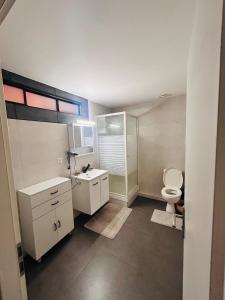 een badkamer met toilet en wastafel bij Au Bord du Logelbach in Colmar