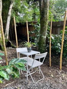 Una mesa blanca y dos sillas en un jardín. en EB5 Escape Tzununa, Lake Atitlan Room #3 - two minute walk to the Lake, en Tzununá