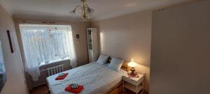 a bedroom with a bed with red pillows and a window at Wolfs apartment in Rīga