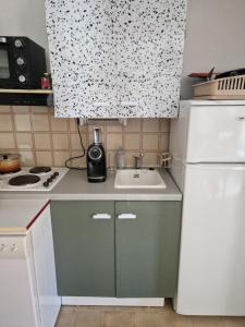 a small kitchen with a sink and a refrigerator at T2 familial climatisé mer à pied parking privé in Saint Cyprien Plage +1 photo