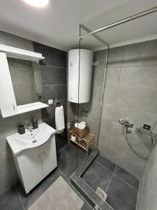 a bathroom with a shower and a sink and a toilet at La Hitana in Lazarevac