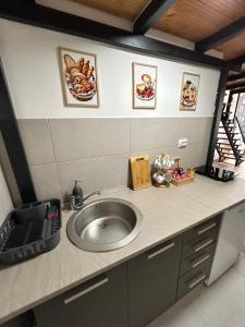 Un mostrador de baño con lavabo en una habitación. en La Hitana, en Lazarevac