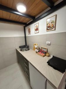 una cocina con fregadero y encimera en La Hitana, en Lazarevac