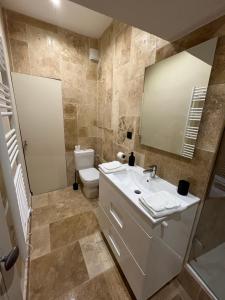 een badkamer met wastafel en toilet bij Logement studio avec vue sur le centre Historique in LʼIsle-sur-la-Sorgue +30 foto's