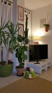 ミザーノ・アドリアーティコにあるCristina' s flatの鉢植えの植物と薄型テレビ付きのリビングルーム
